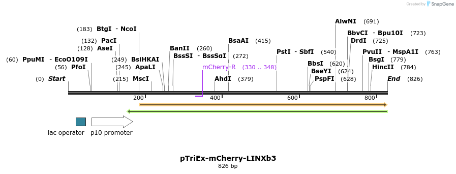 145591_map