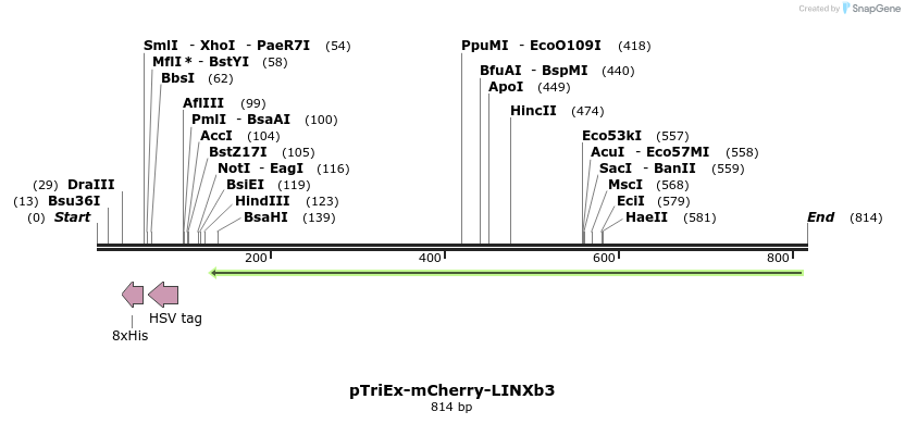 145592_map