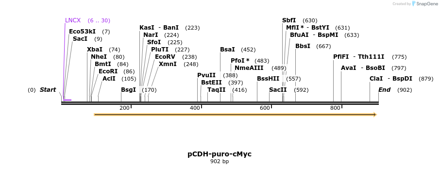 145601_map