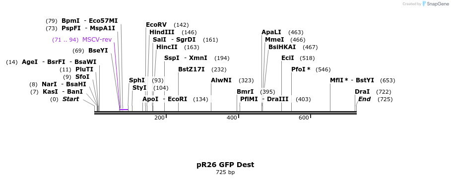 145602_map