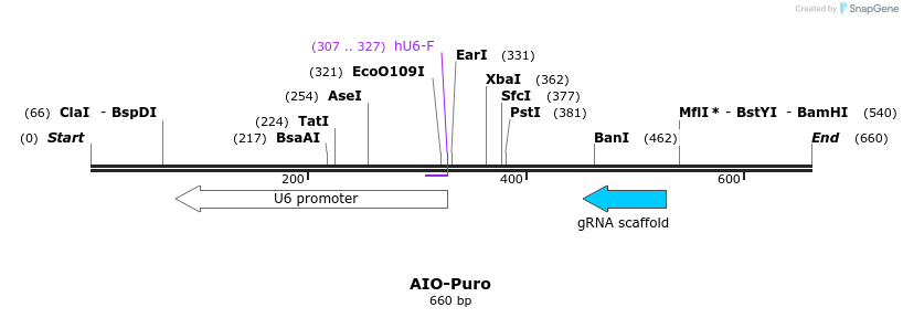 145604_map