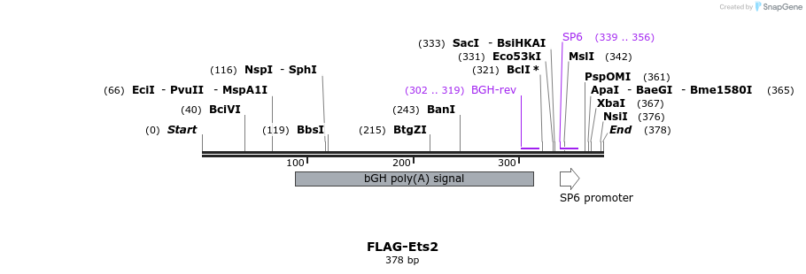 145607_map