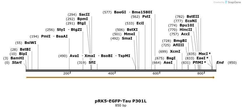 145608_map