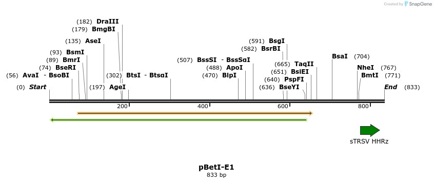 145609_map