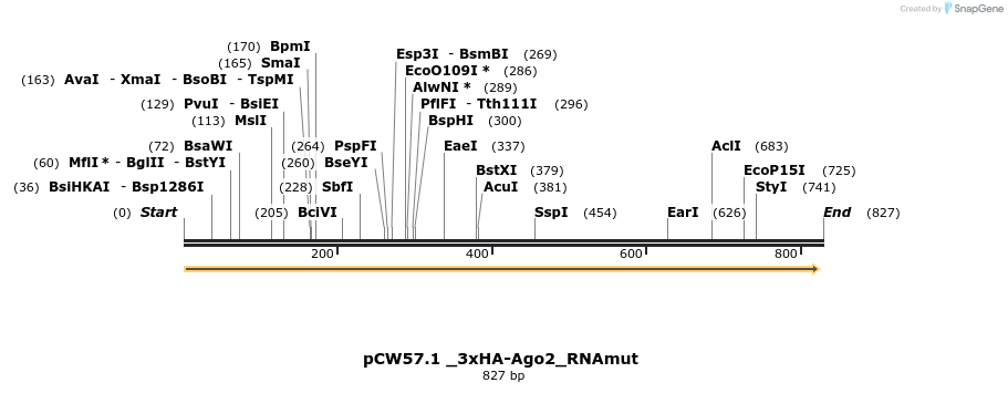 145611_map
