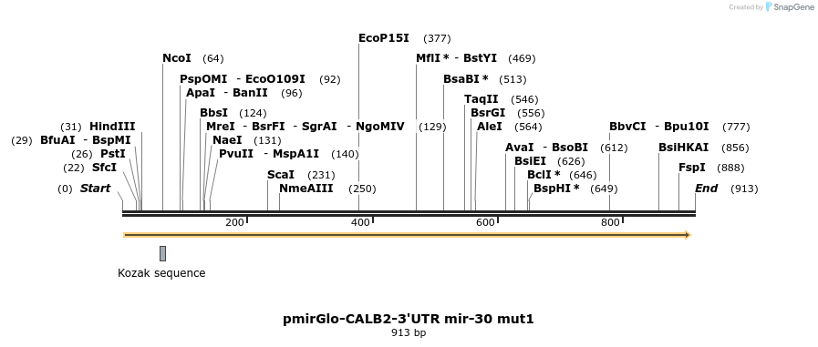 145616_map