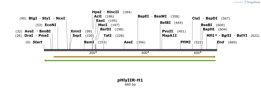 145618_map