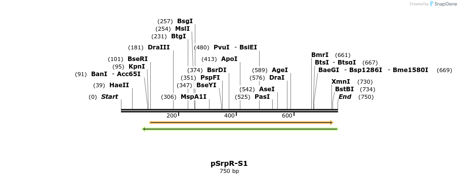 145619_map