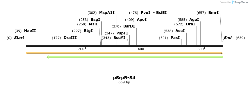 145623_map
