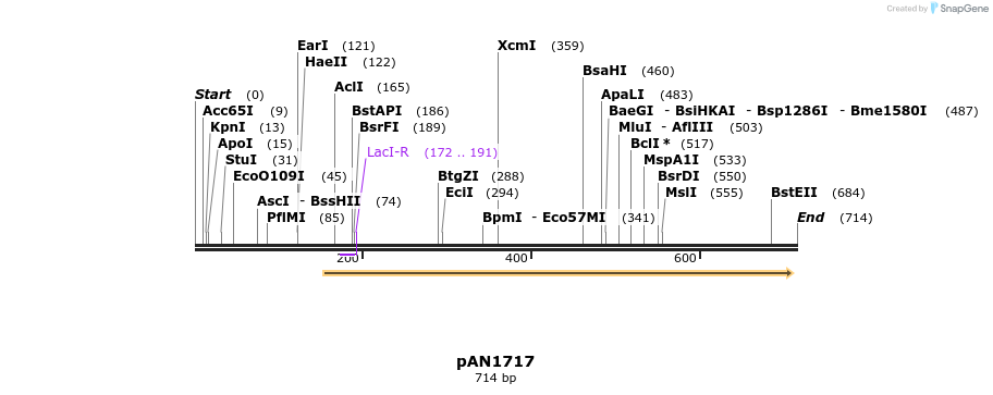 145626_map