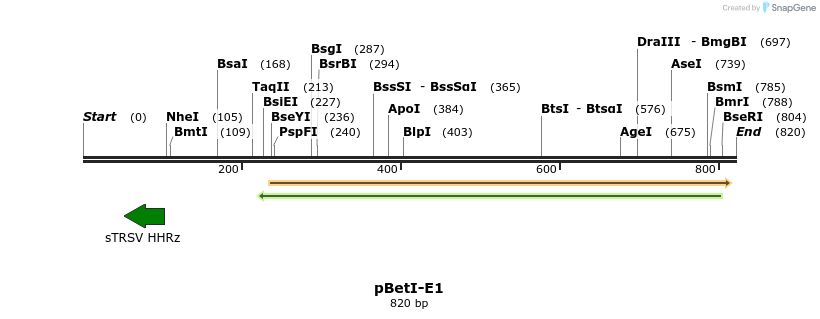 145631_map