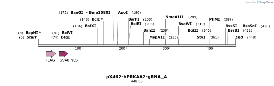 145649_map