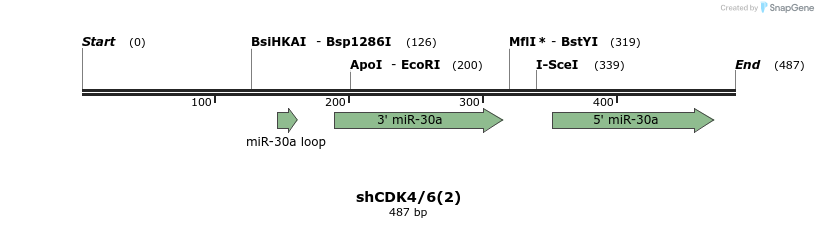 145650_map
