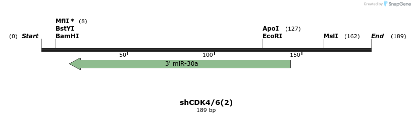 145653_map