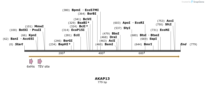 145657_map