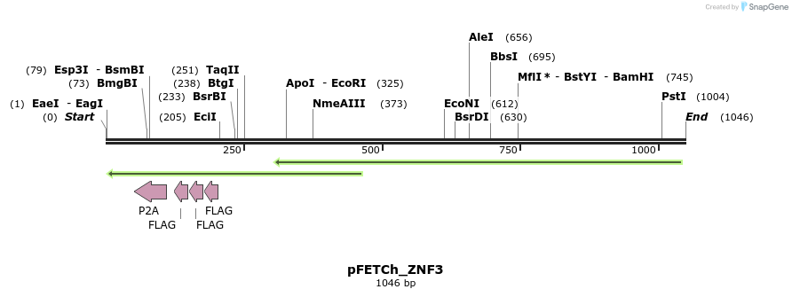 145658_map
