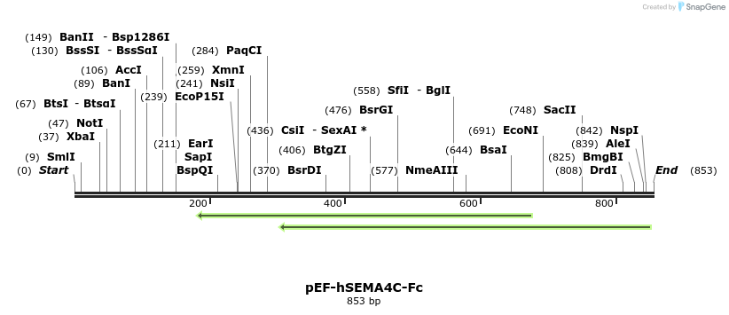 145663_map