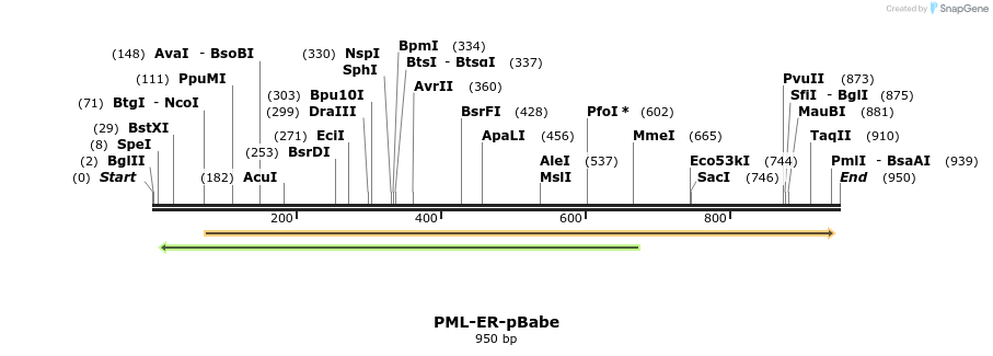 145664_map