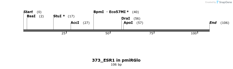 145666_map