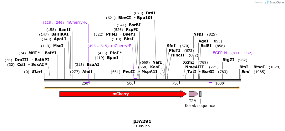 145670_map