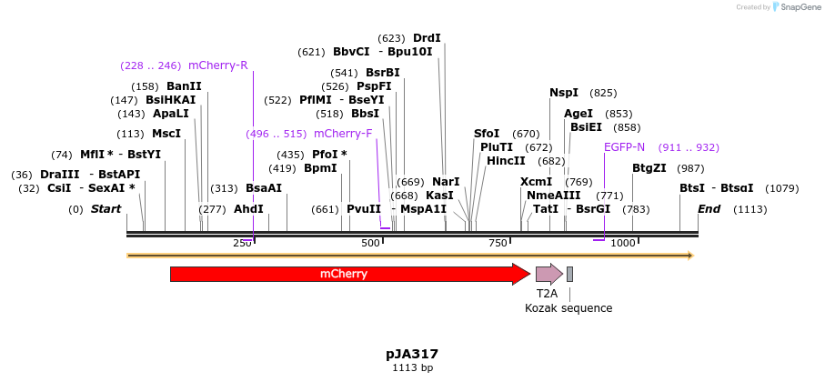 145674_map
