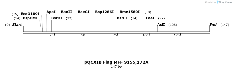 145675_map
