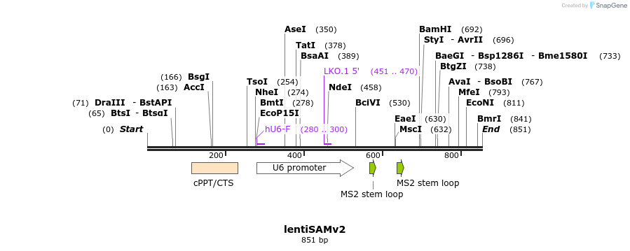 145679_map