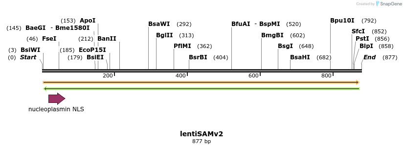 145680_map