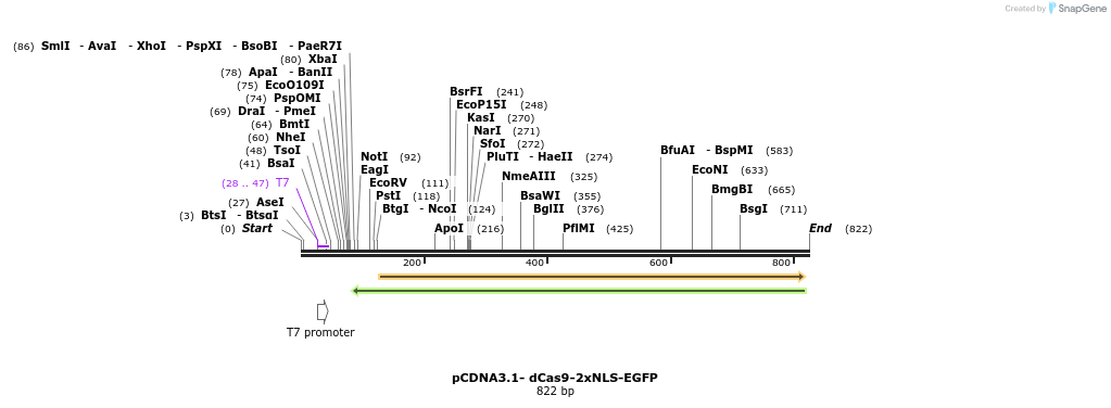 145687_map