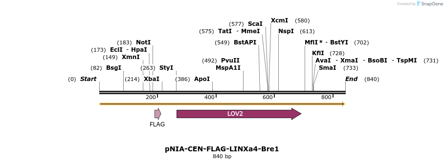 145689_map