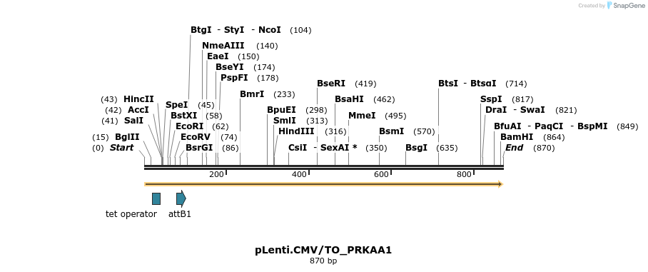 145690_map