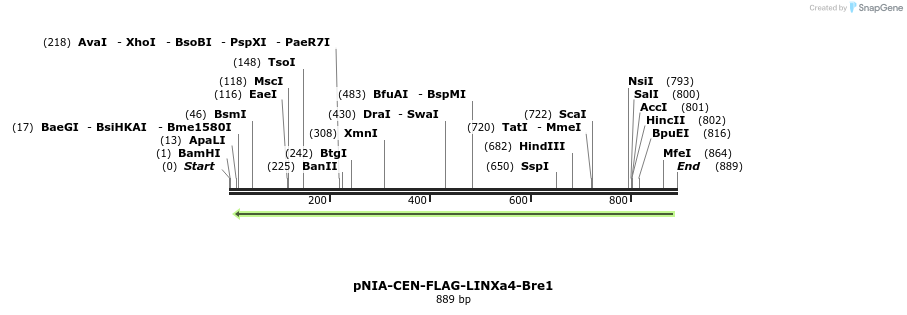 145693_map