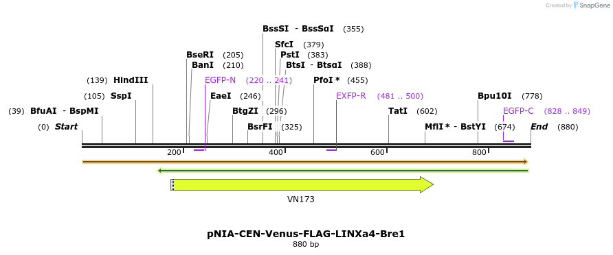 145695_map