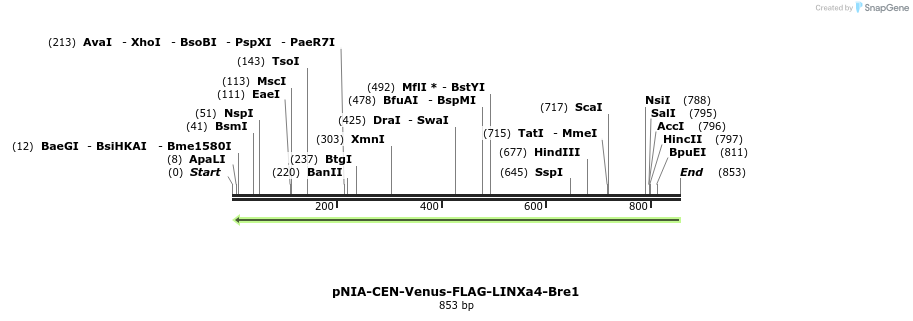 145696_map