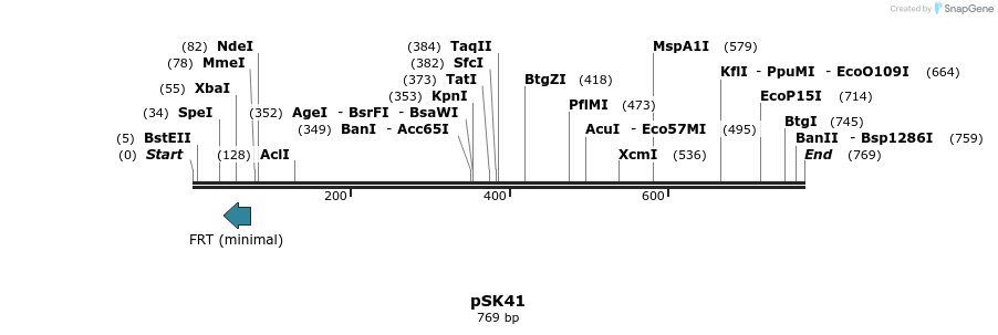 145702_map