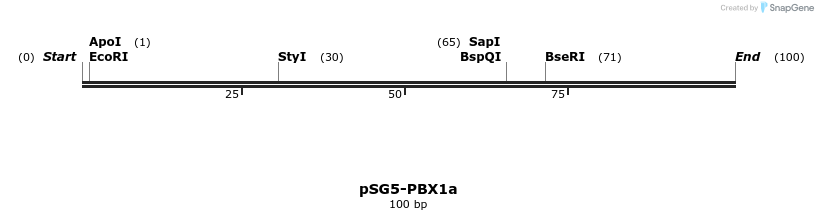 145704_map