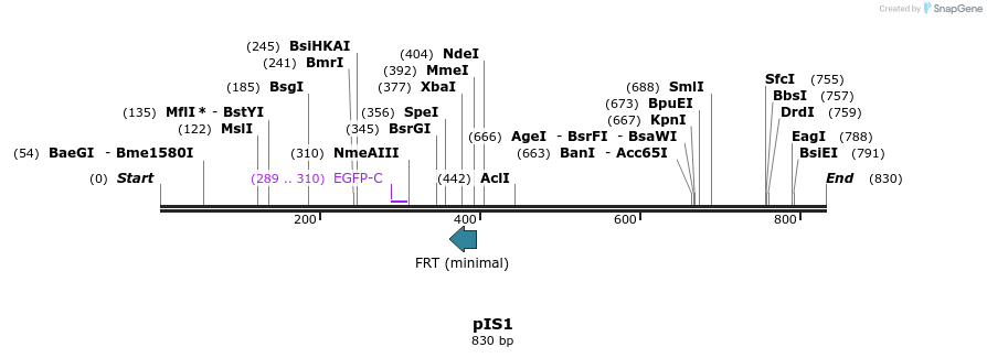 145706_map