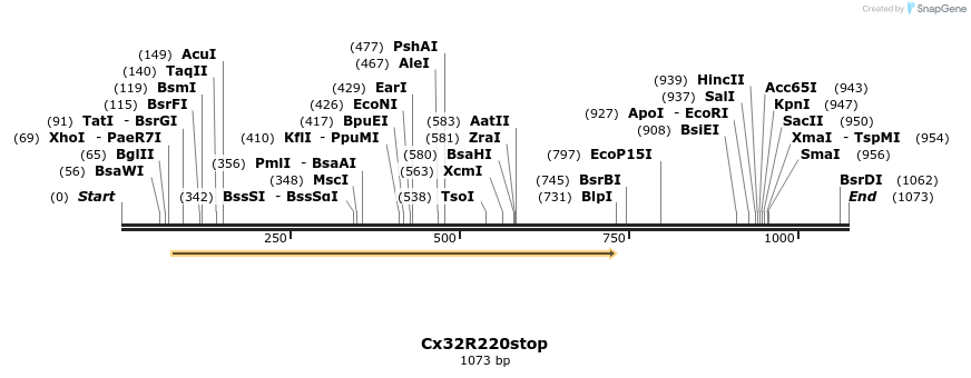 145709_map