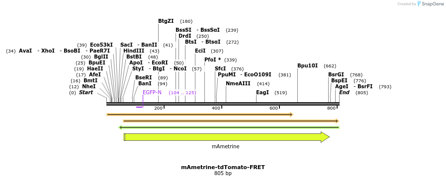 145712_map