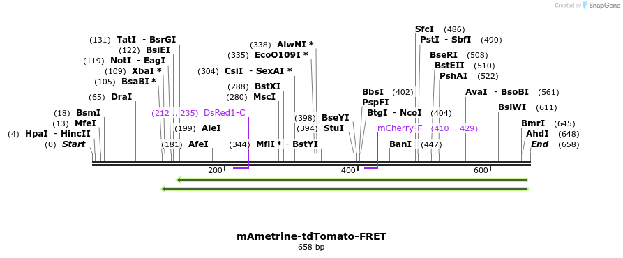 145713_map