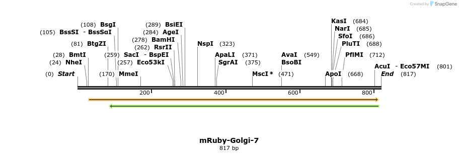 145718_map
