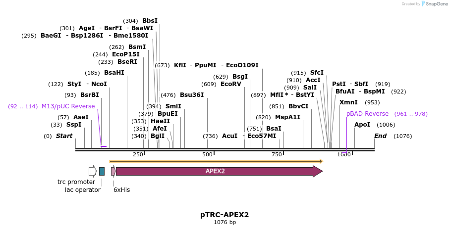 145719_map