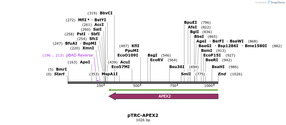 145720_map