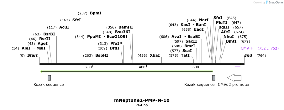 145728_map