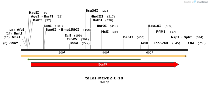 145729_map