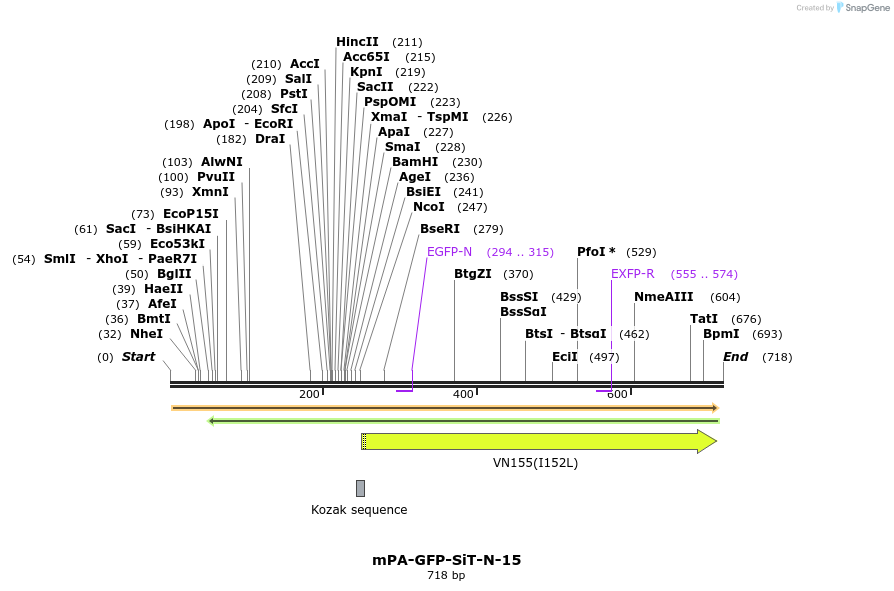145730_map