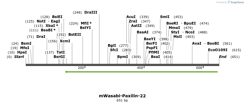 145731_map