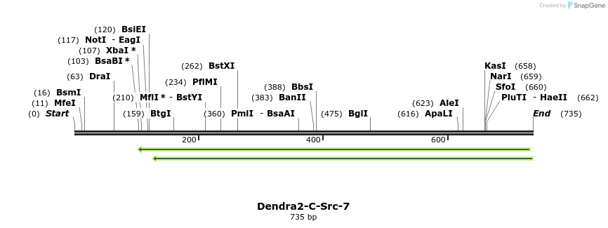 145732_map