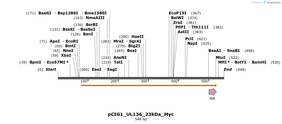 145749_map