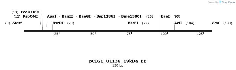 145752_map